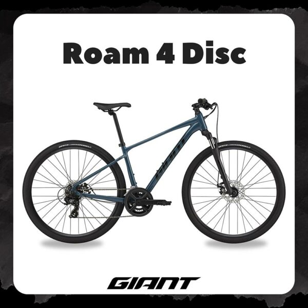 GIANT ROAM 4 DISC 都會登山自行車 2024新竹收購